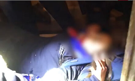 Only one person was killed January 6th. c/o TMZ