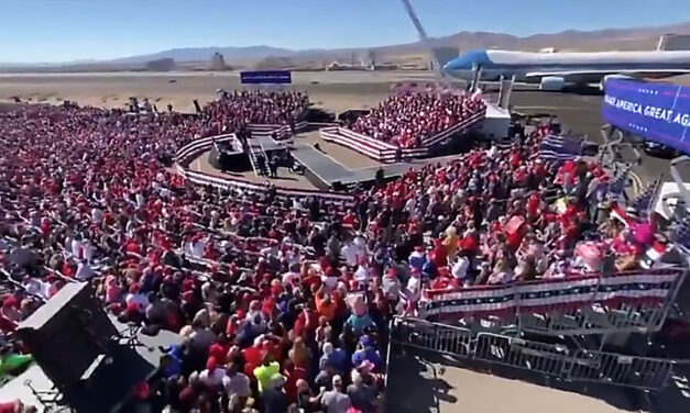 2020 Motivational Trump rallies & parades